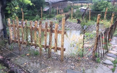 Neuer Teich auf der Wynegg