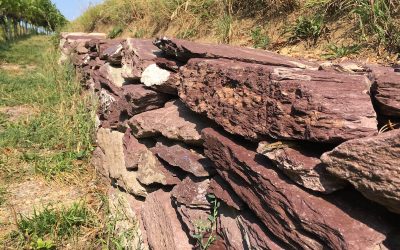Trockensteinmauer Burghölzli Waldrand