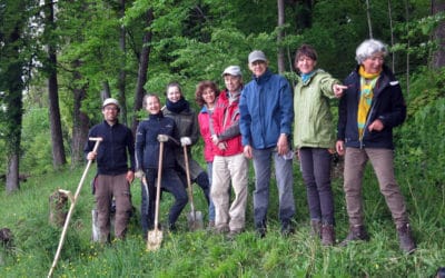 Erster Burghölzliwaldrand-Einsatz