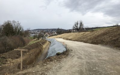 Grossbaustelle Wynegg