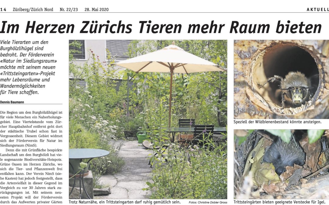 Züribergzeitung – Trittsteingartenbericht