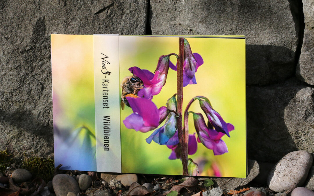 Neu: Das Wildbienen-Kartenset von NimS
