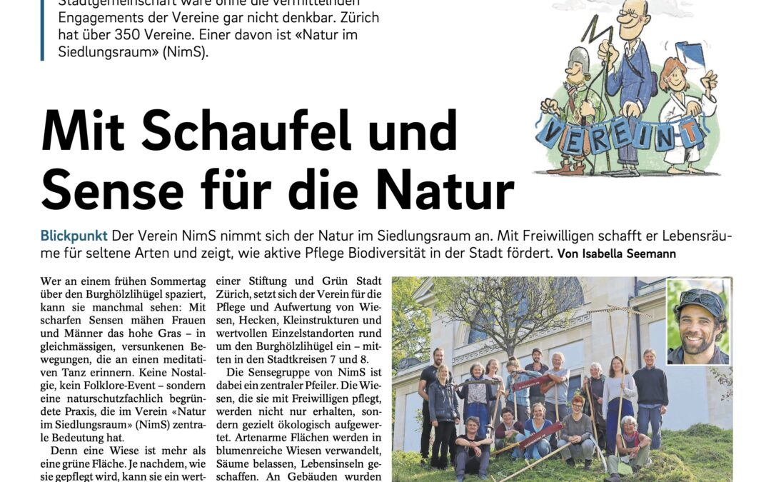 NimS im Tagblatt