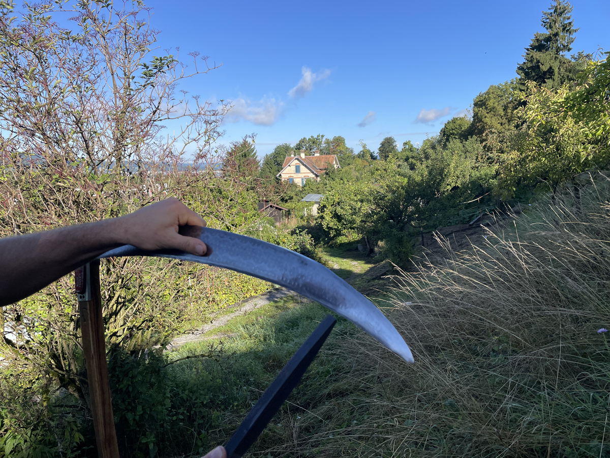 1-IMG_9794-25-08-29 DAkomp.