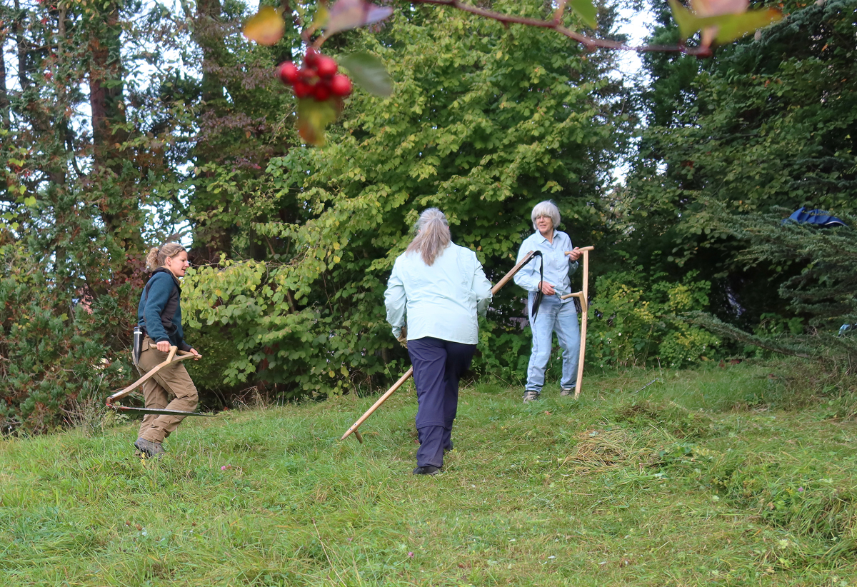 2-8200-25-10-10Sensen Kreuzkirche, Stephanie, Regula, Gerda_CDGkomp