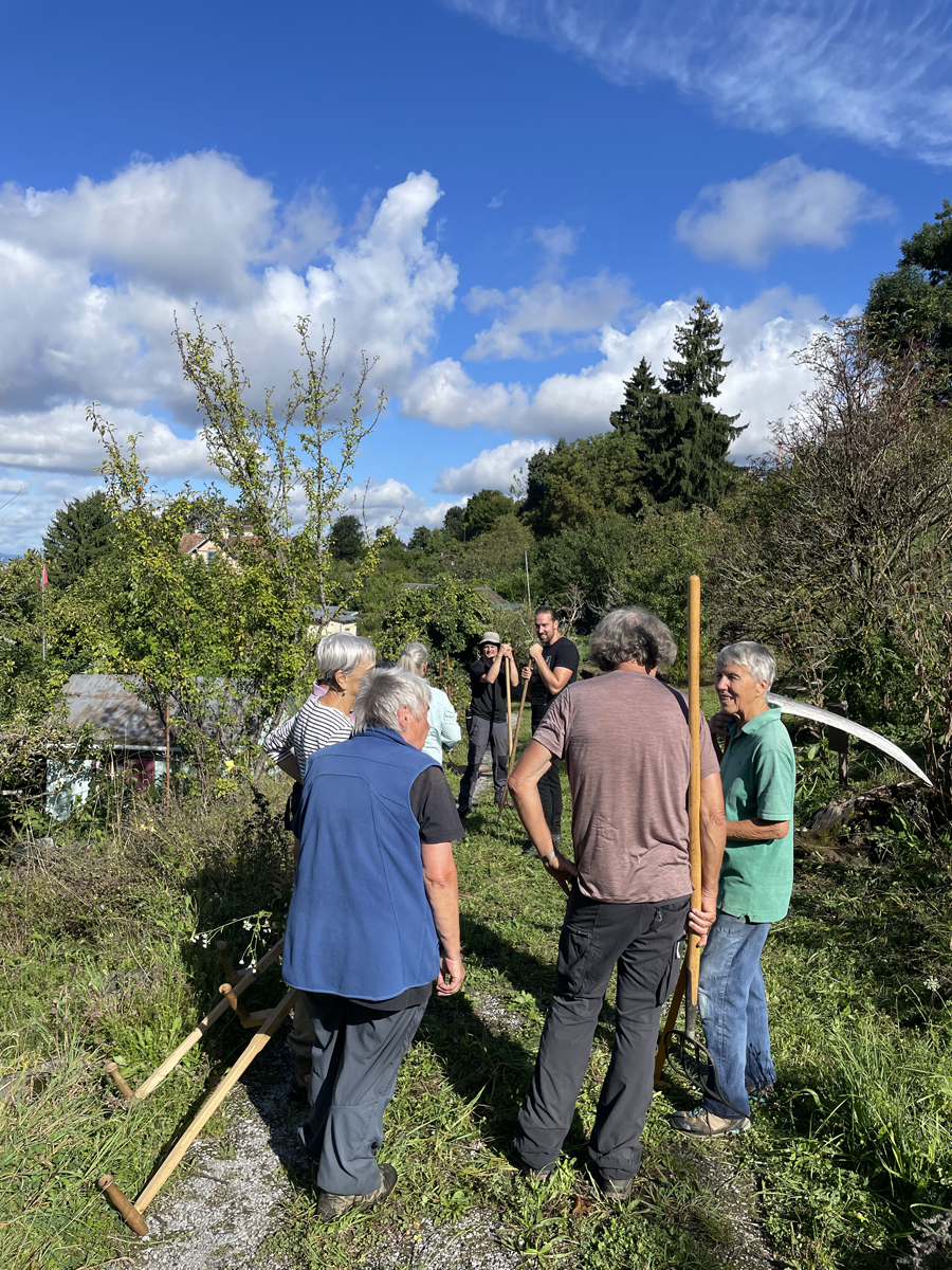 2-IMG_9799-25-08-29 DAkomp