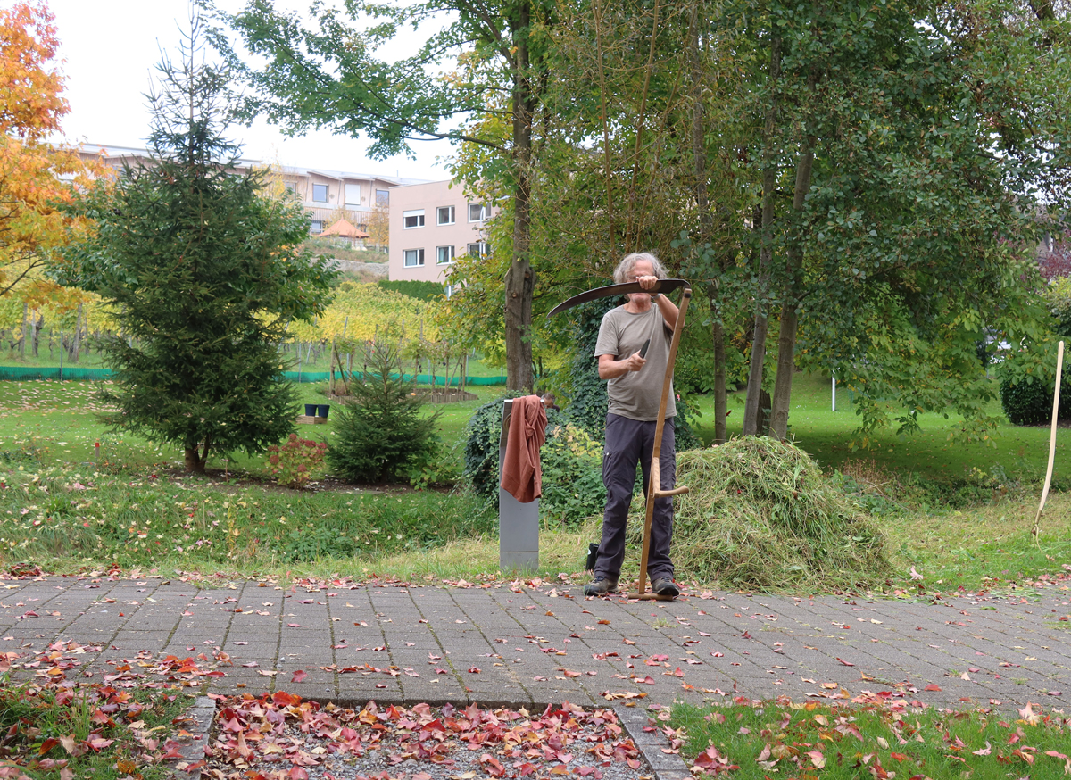 5-8266-25-10-17Sensen NebelbachCDGkomp