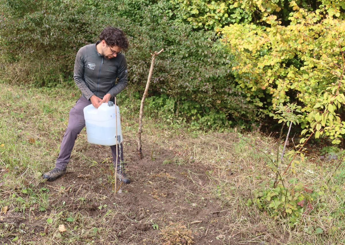 7- 8153-25-10-08 Angiessen 2 LavendelweidenCDGkomp