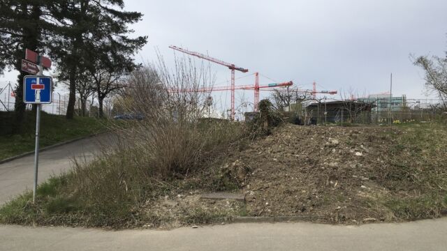 Für Tiere gab es hier kaum Nahrung.