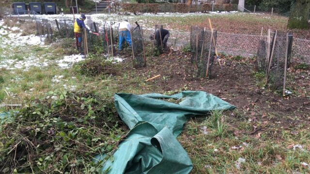 Beim Waldrandzugang West mussten vor allem Brombeeren entfernt werden.