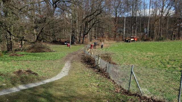 Auch am westlichen Zugang wurden die aufgewachsenen Bäume und Sträucher gefällt.