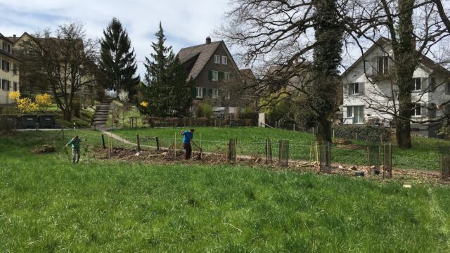 Bepflanzung des Waldrandzugangs West.