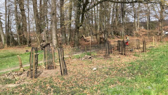 Die Neupflanzungen wurden mit Gittern geschützt.