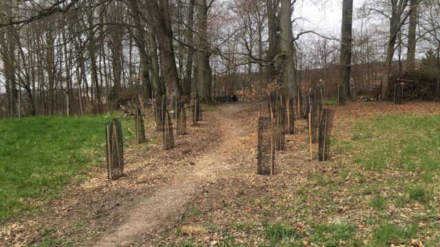 Der Zugang zur Feuerstelle ist wieder gut sichtbar.