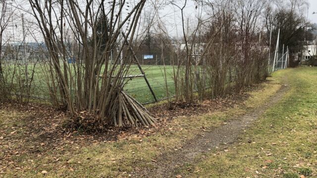 In jeder Hecke sollte mindestens ein Asthaufen vorhanden sein, auch wenn diese um einen Fussballplatz liegt.