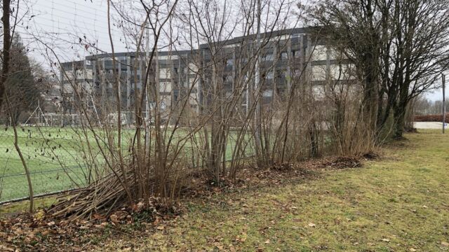 Solche Kleinstrukturen benötigen in der Erstellung wenig Aufwand, sind aber für die Tiere sehr wertvoll.
