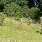 Am Strassenrand kann es von der Unterhaltstruppe von Grün Stadt Zürich abgeholt werden.