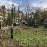 Vor dem Oberbodenabtrag muss die Vegetation entfernt werden.