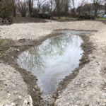 Der Teich beginnt sich zu füllen.