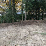 Auch auf der westlichen Fläche wird eine artenreiche Hecke gepflanzt.