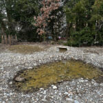Der Teich füllt sich mit Wasser.