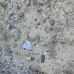 Im Juni wird der Wildbienensand bereits von ersten Arten besiedelt.