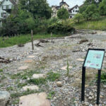 Anfangs Juli beginnt auch die Wandkiesfläche grün zu werden.