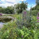 Zustand im Juli 2023 Blick in Richtung Blumenrain.