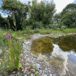 Zustand im Juli 2023 Blick in Richtung Blumenrain.