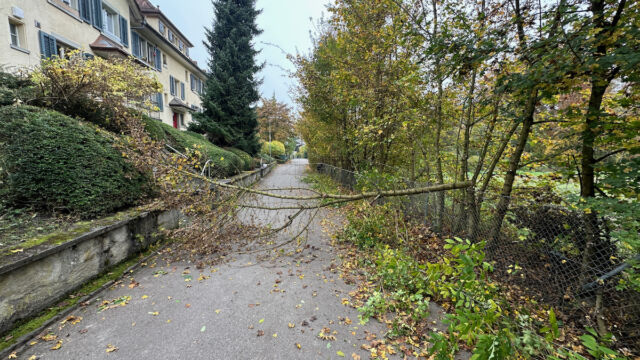 Kurzfristige Sperrung der Weineggstrasse ;-)