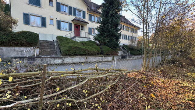 Weiter geht es