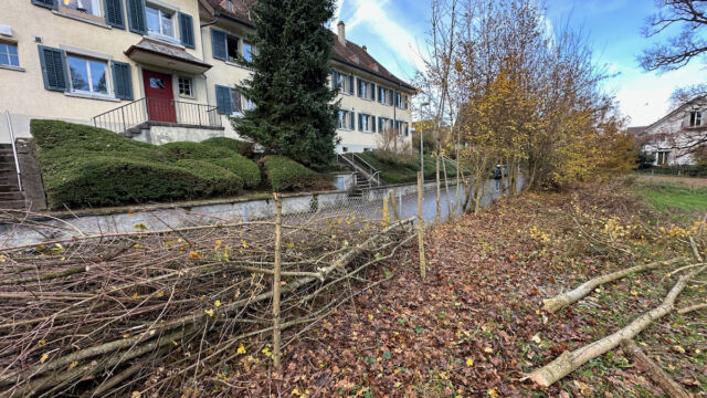 Ungefähr Halbzeit