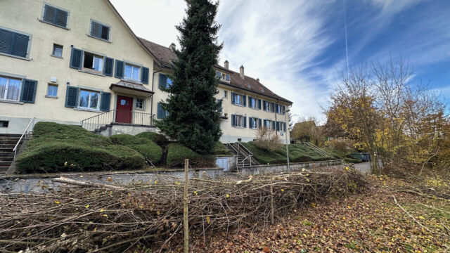 Langsam nimmt die Struktur Form an.