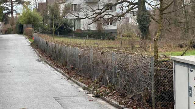 Die fertige Benjes-Knickhecke.
